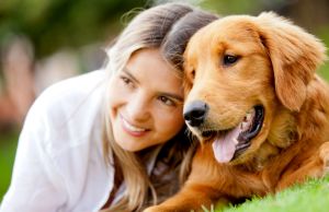 garde de chien