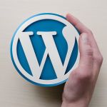 WordPress, un CMS suffisamment optimisé pour le SEO ?