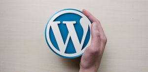 WordPress, un CMS suffisamment optimisé pour le SEO ?