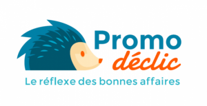 Le rôle de Promodéclic dans la consommation des ménages modernes