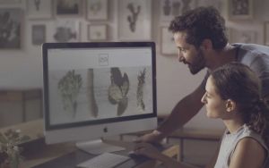 creer un site web wix