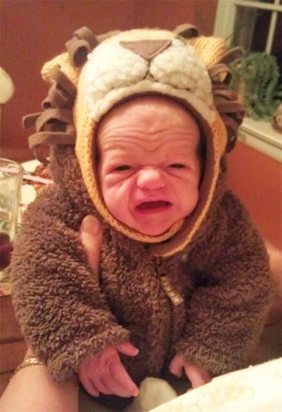 petit lion