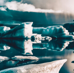 Antarctique
